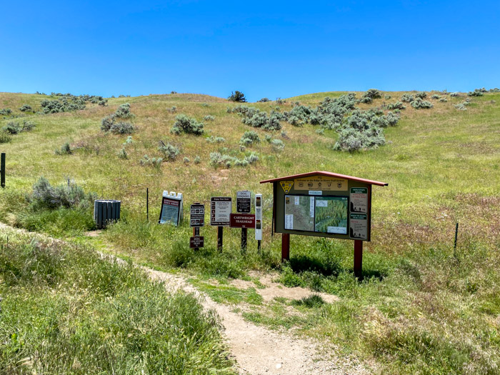 Pole Cat Hike or Mountain Bike Collister Boise copy