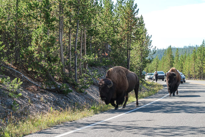 Boise Idaho to Yellowstone national park trip