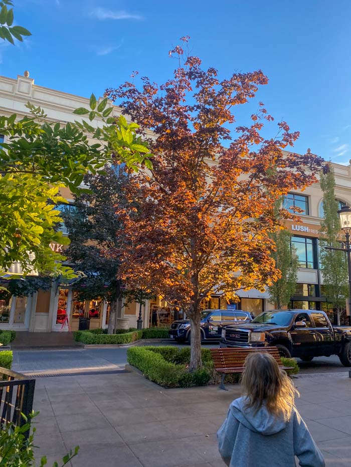 Shopping at The Village At Meridian Idaho