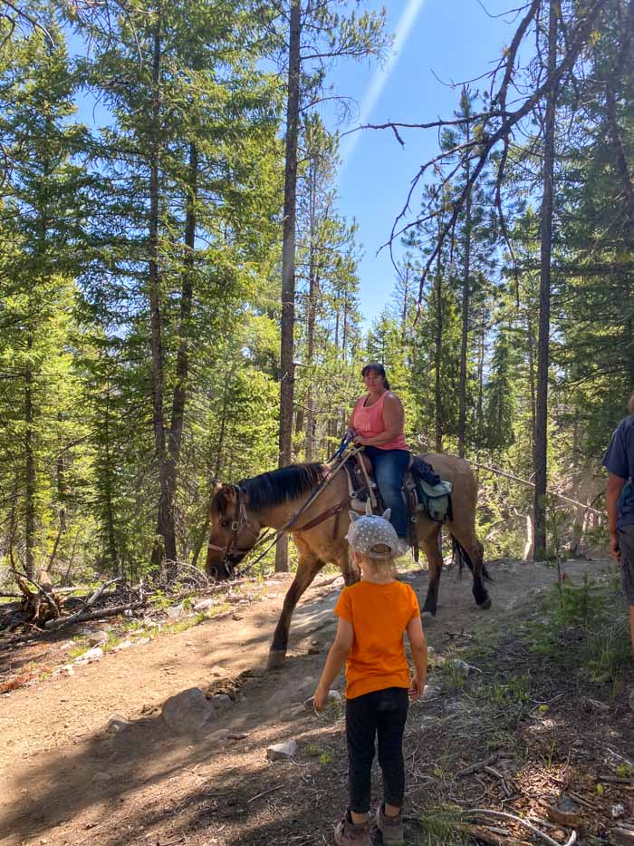 Horseback Riding 