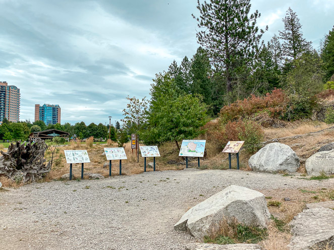 Hike Tubbs Hill as a family things to do in Coeur d'alene