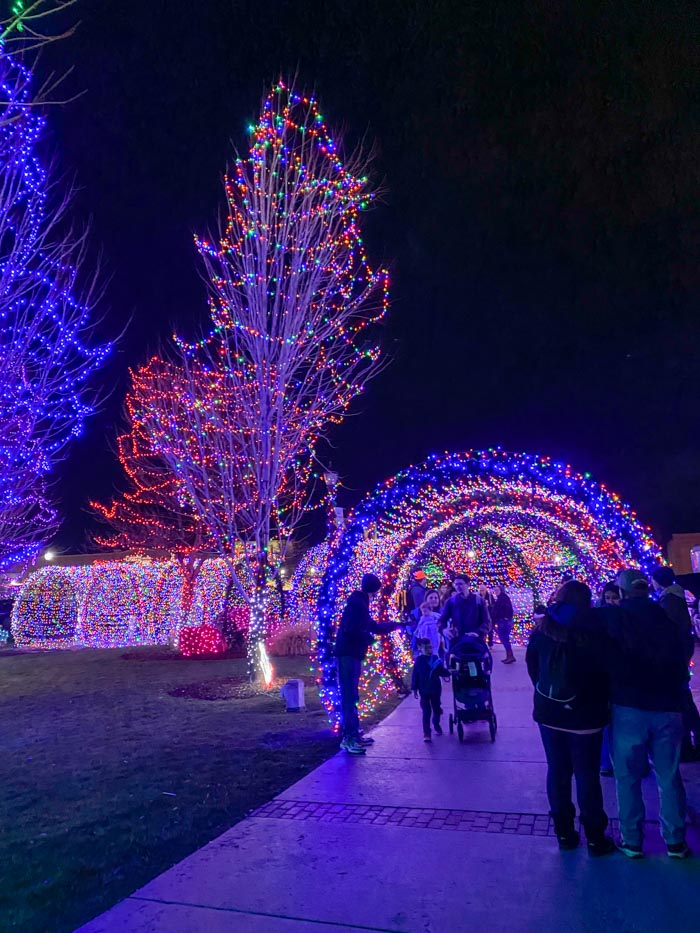 Caldwell Idaho Christmas Lights and things to do