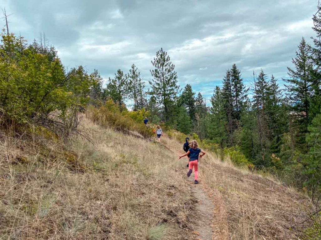 Hike Tubbs Hill CDA