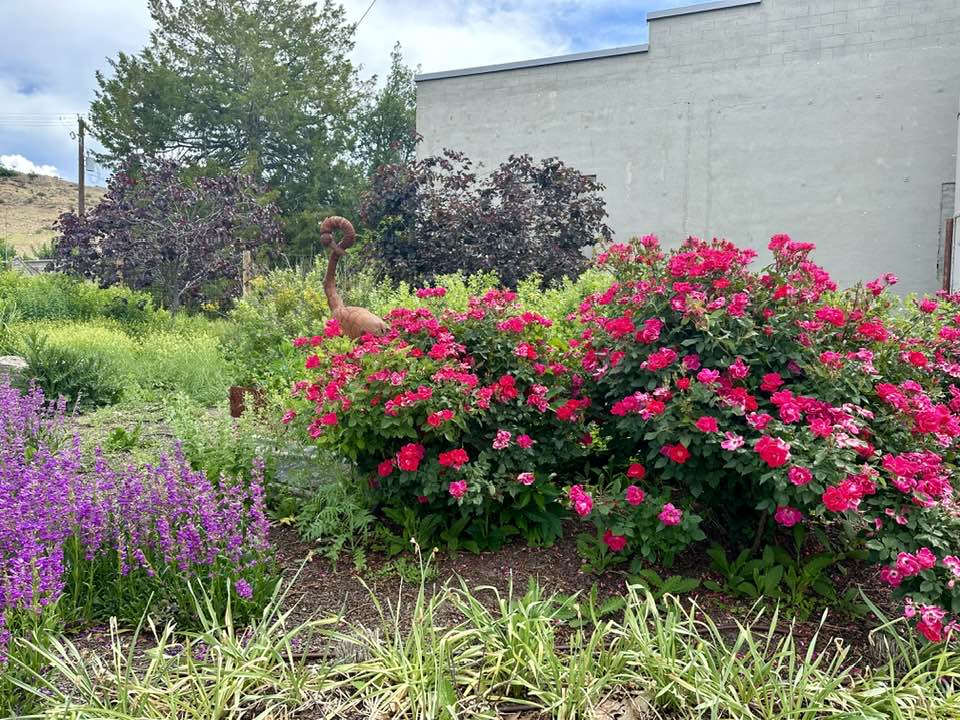 Idaho Botanical Garden Boise