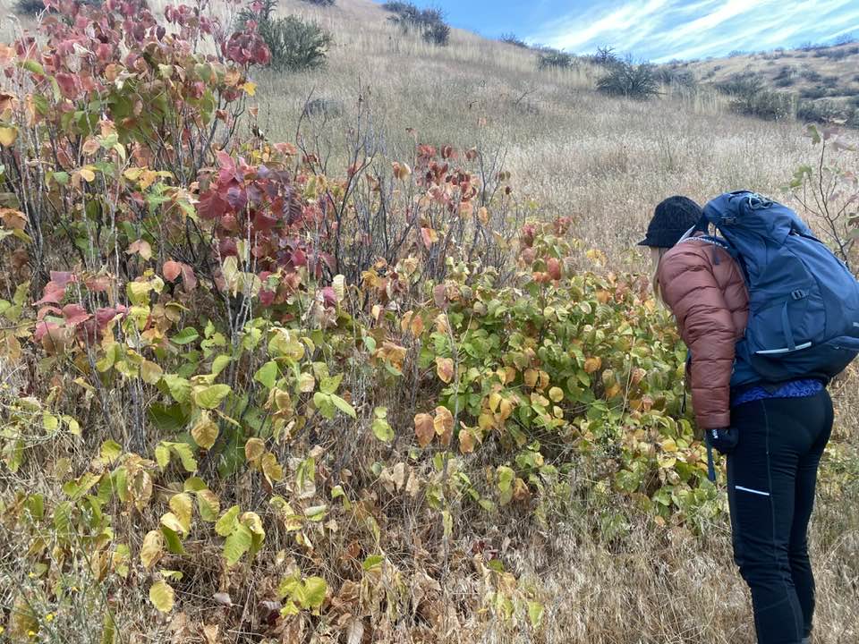 Boise Fall Hike