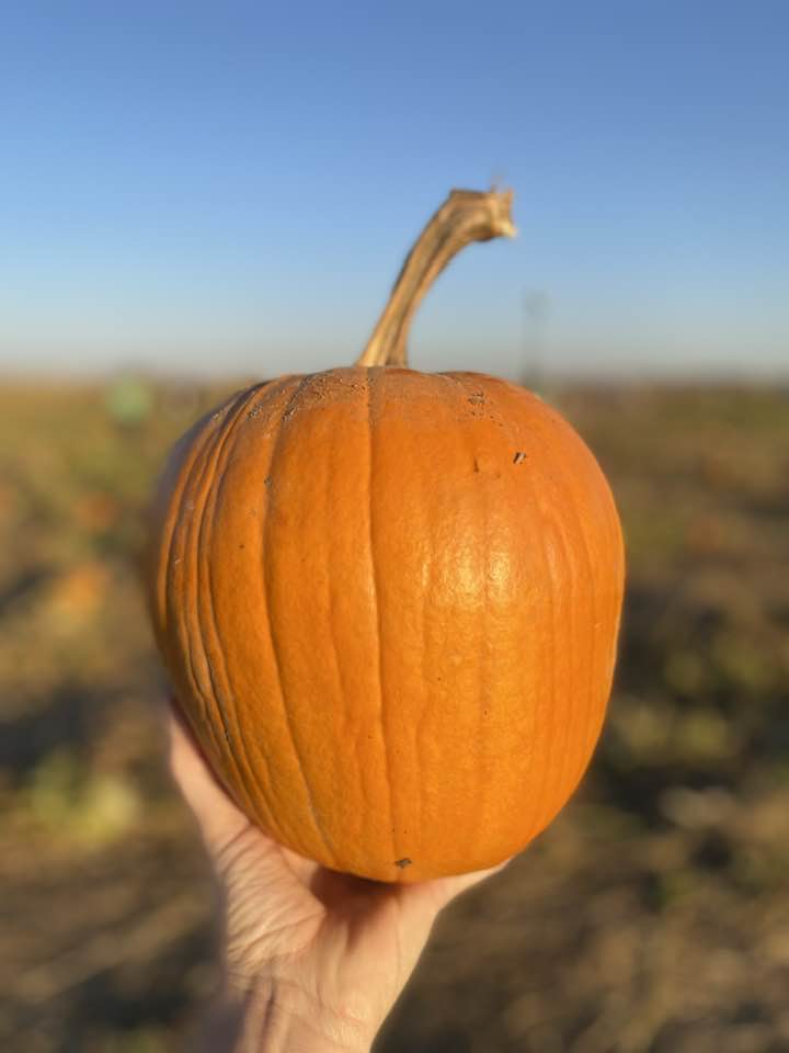 Boise Idaho in the Fall